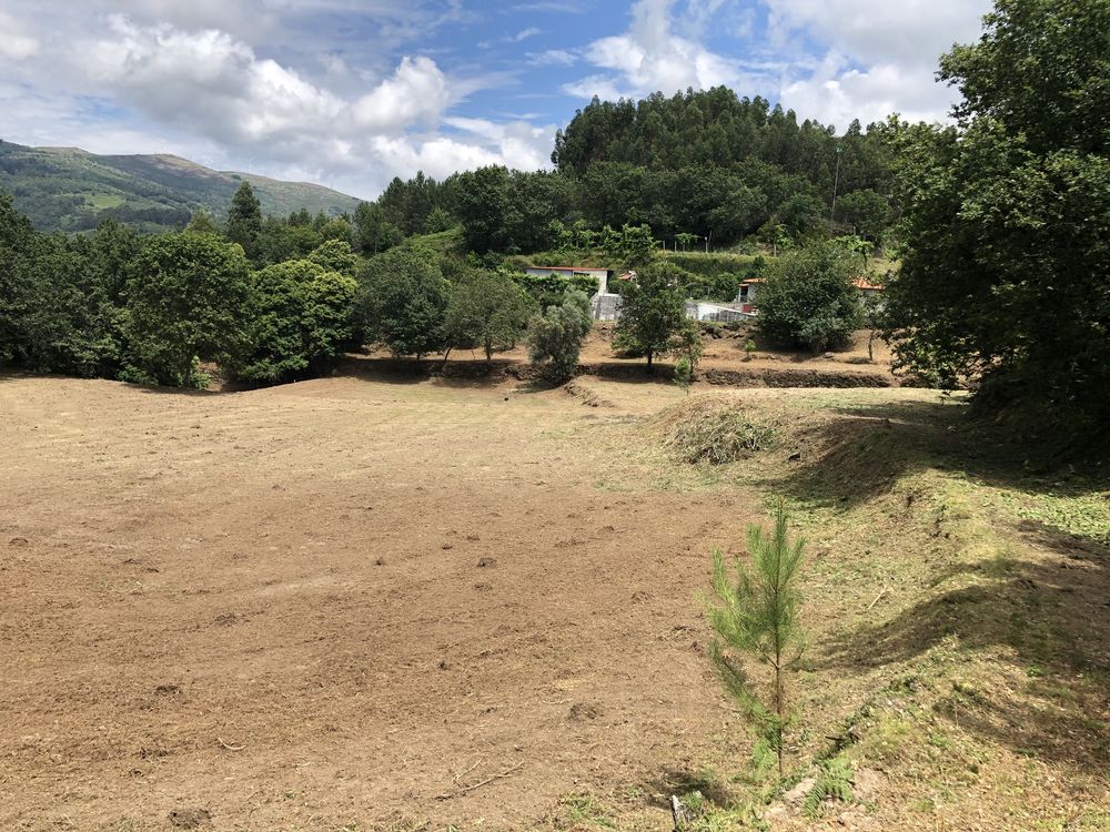 Limpeza de terrenos