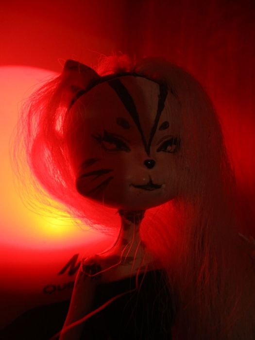 Ооак ручної ручної роботи в стилі антро-кішки