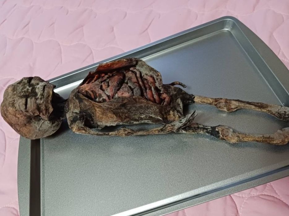 Figura Extraterrestre Autópsia