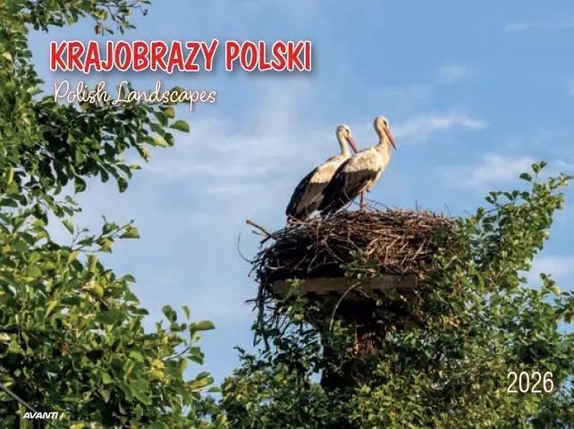 Kalendarz 2026 ścienny album. 28,5x20cm Krajobrazy. Avanti