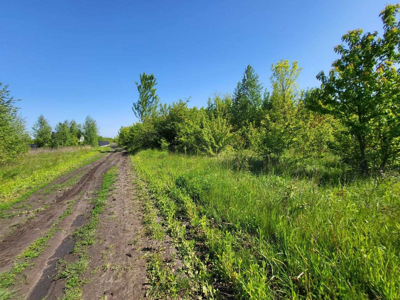 Ділянка 13.16 сотих для будівництва. 3000$. Дядьковичі