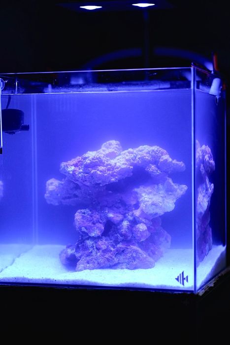 Aquário com sump traseira e móvel