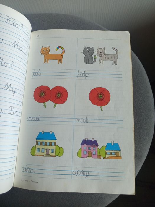 Litery ćwiczenia Ewa i Feliks Przyłubscy WSiP