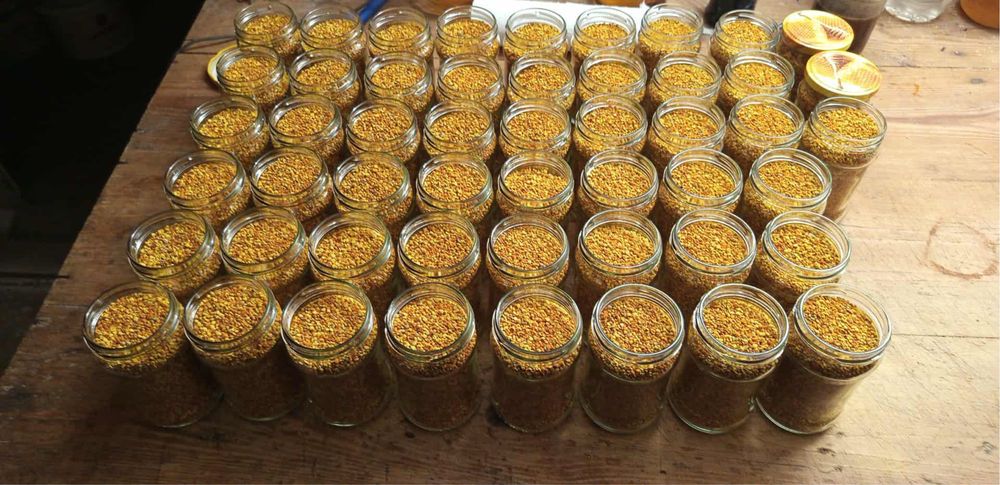 Miód pyłek paszczeli produkty naturalne