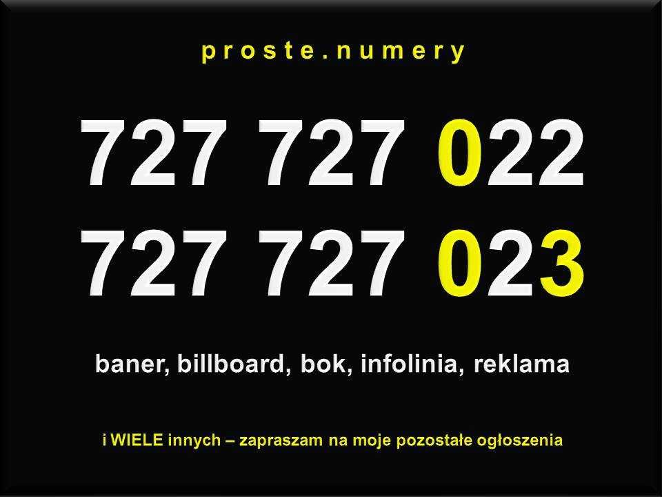 Prosty złoty numer proste złote numery SIM para zestaw firma VAT 23%