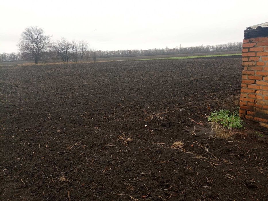 Продаю будинок в Вісичах