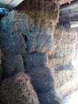 Fardo de palha 2025