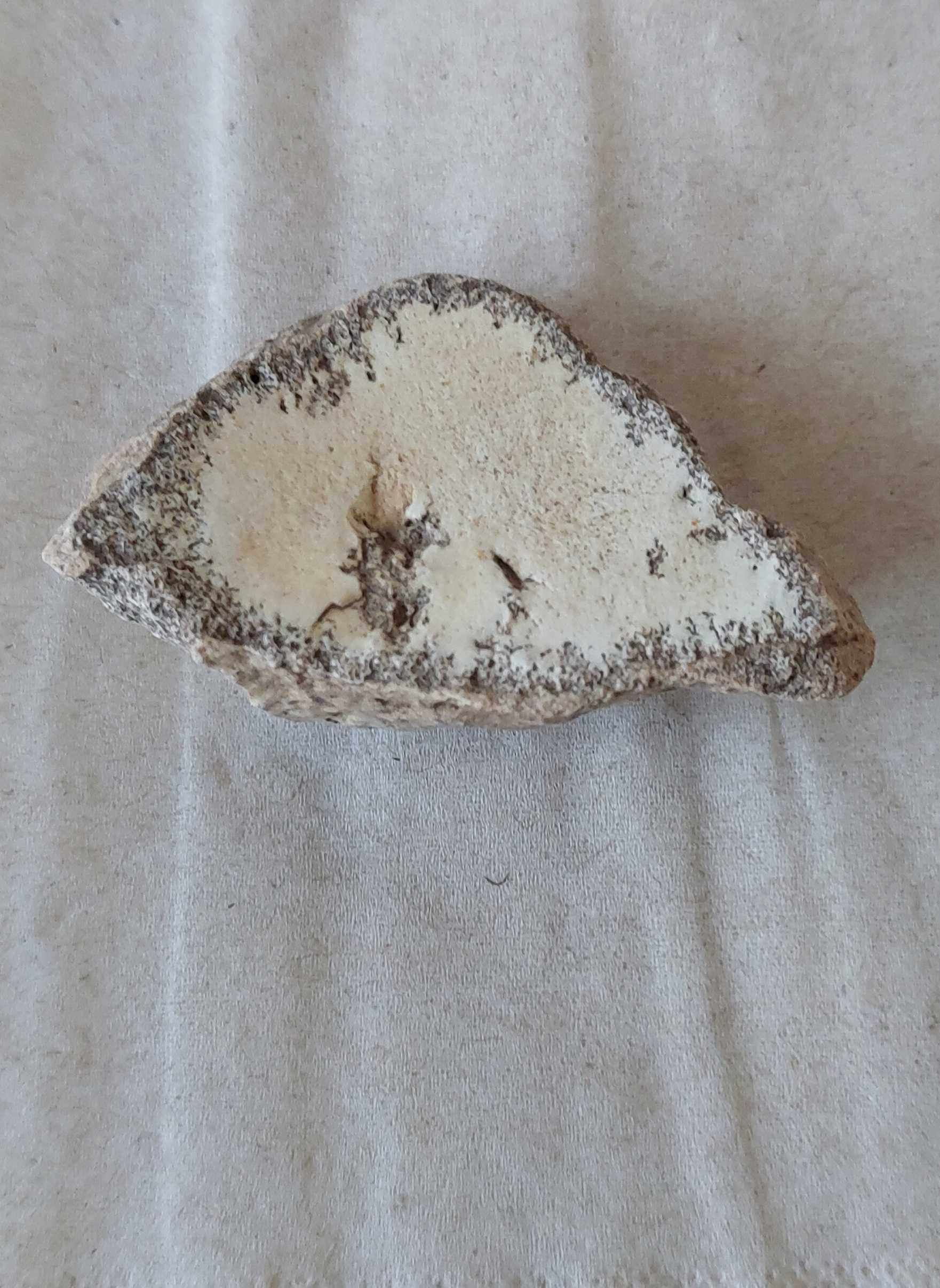 Dendrite Rock, Dendritik rock