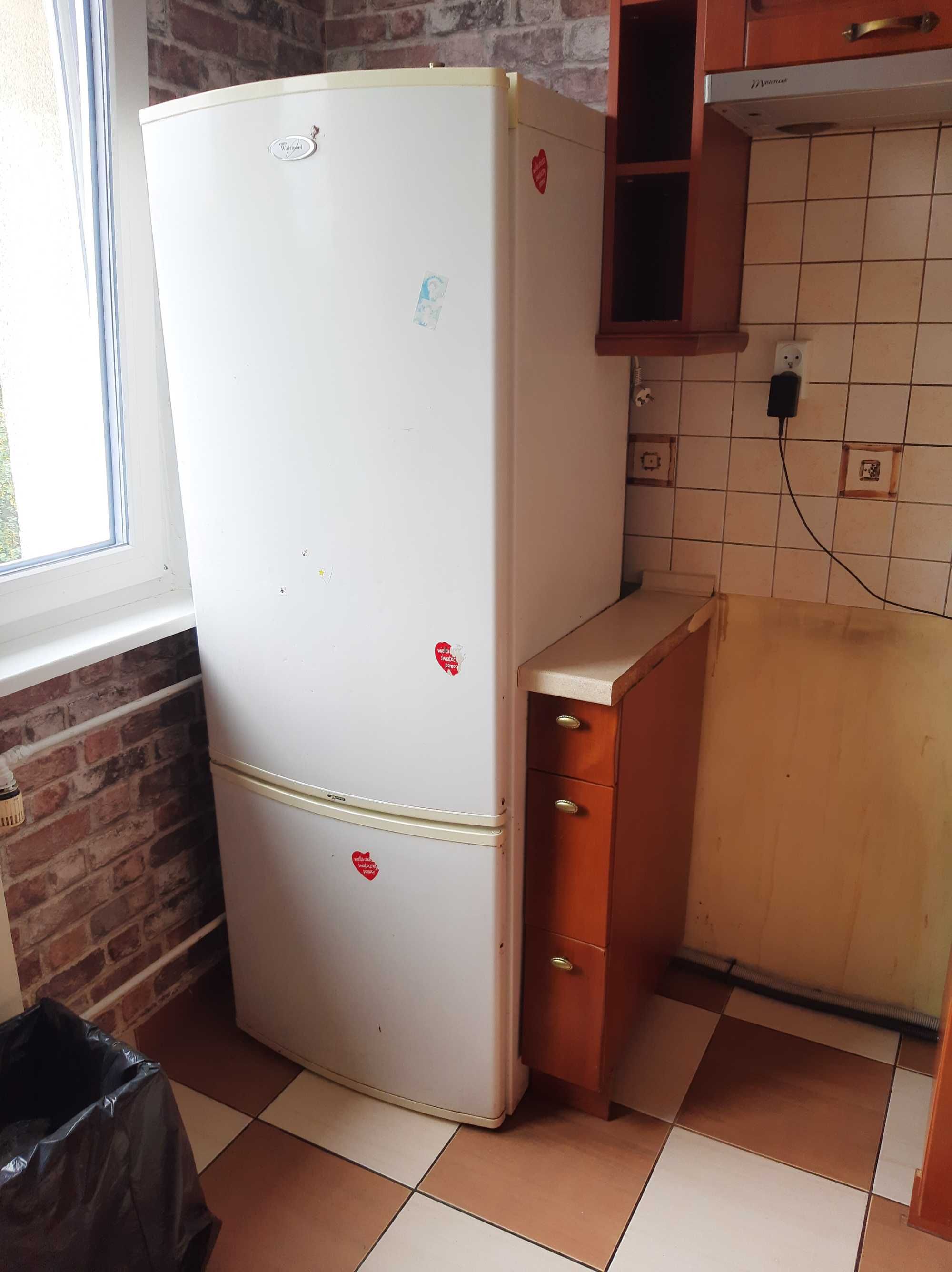 Lodówka Whirlpool 170x60 cm