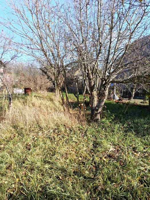 Круги, СТ Місячна галявина, цегляний будинок 74 кв.м. Супермісце!