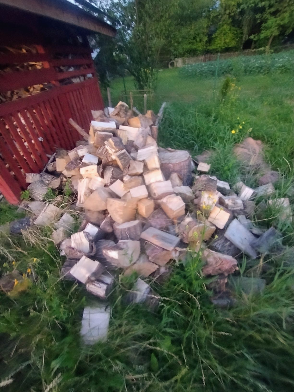 Drzewo suche opał twarde buk w kawałkach