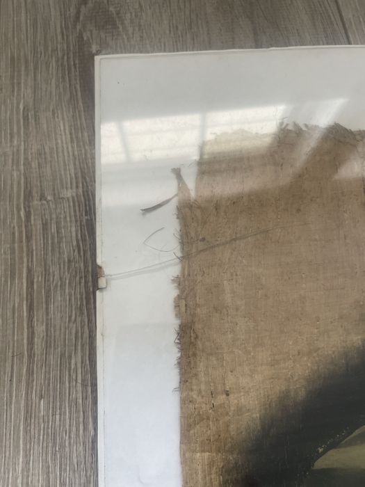 Ogromny papirus pod plastikową pleksją