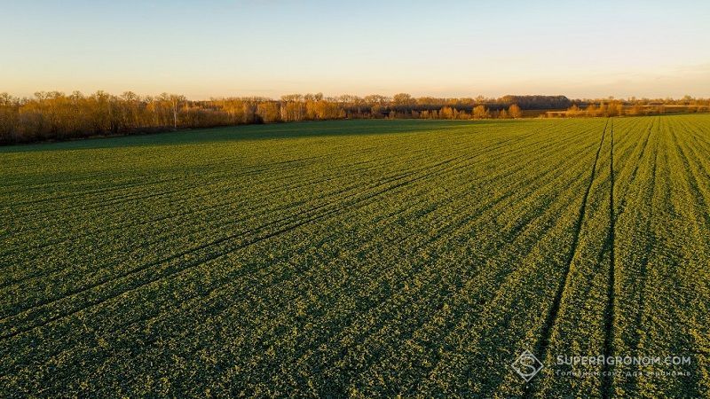 Продаж земельних паїв 1,5 шт