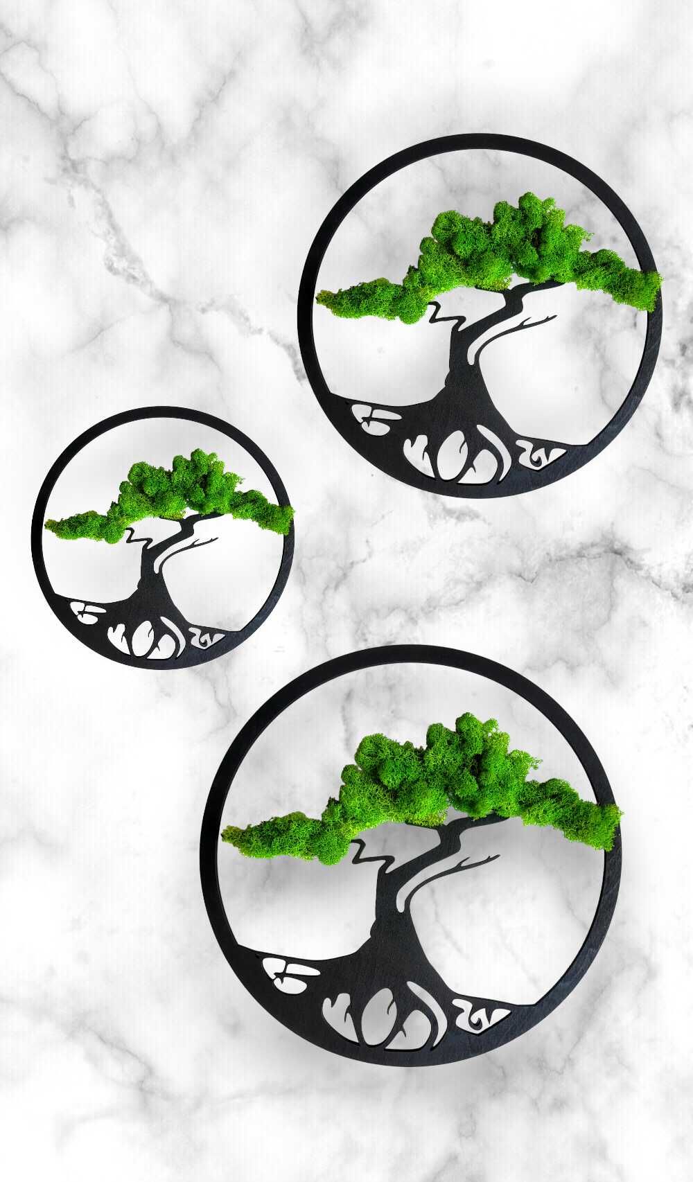 Obraz mech chrobotek drzewo bonsai prezent ślub, rocznica, imieniny