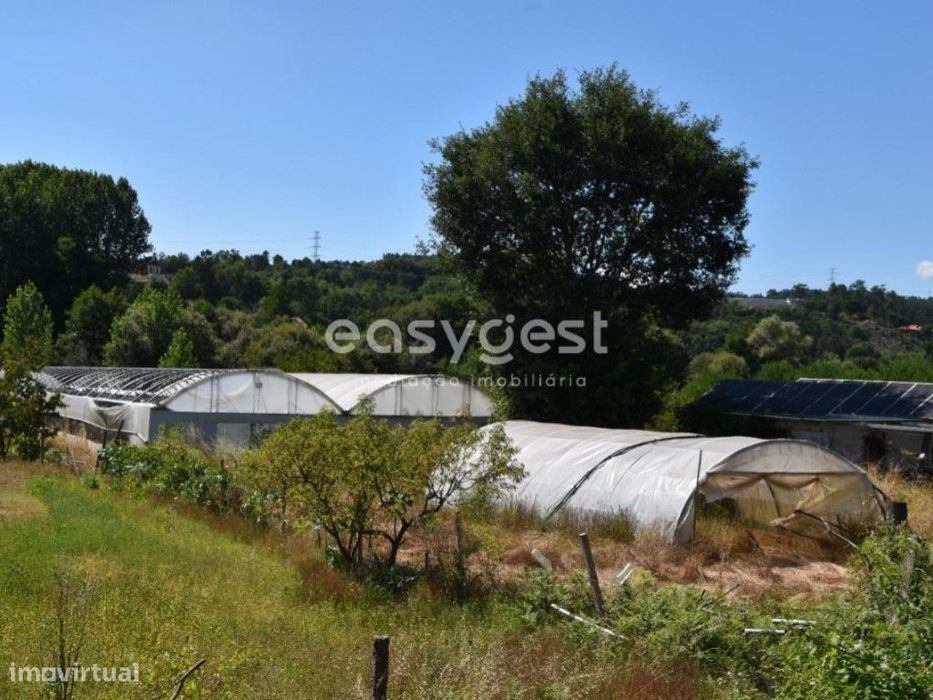 Terreno de exploração agrícola, localizado em Coutos de Viseu