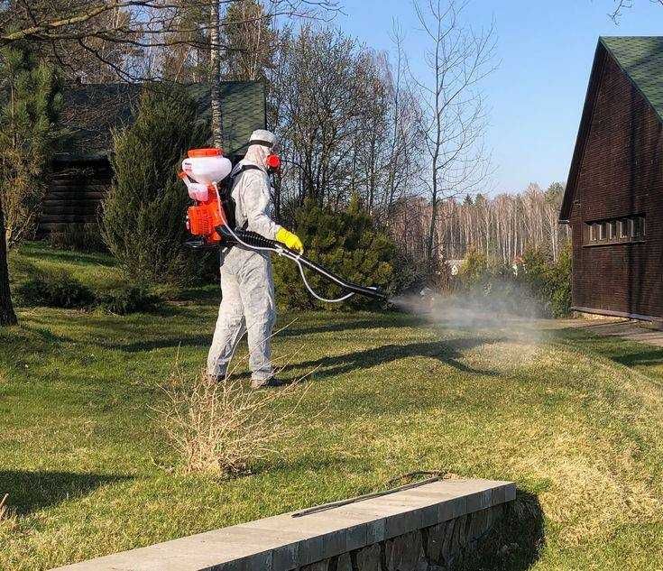 DEZYNSEKCJA i DEZYNFEKCJA – Pluskwy, Karaluchy, Pchły  | Gwarancja!