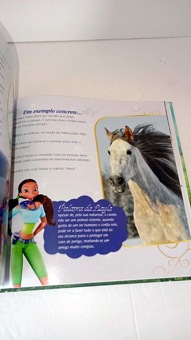 Peg, O cavalo Mágico - Winx