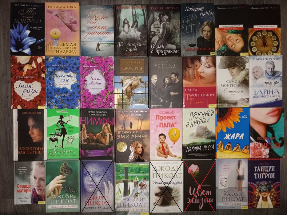 Женские романы, проза Ахерн, Бурден, Митчард, Шрив и др.