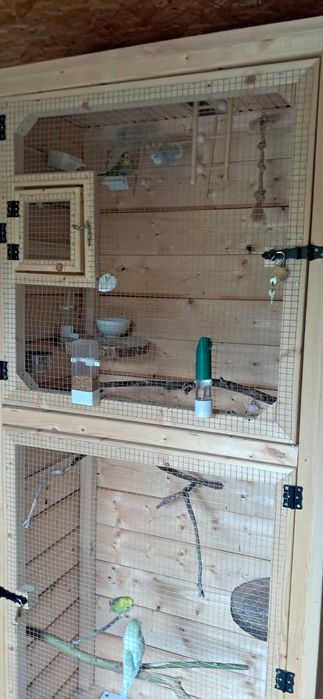 Woliera papugi faliste