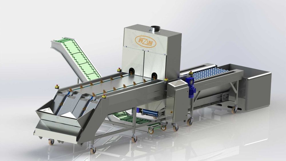 Maszyna do obierania cebuli, obcinarka końcówek cebuli