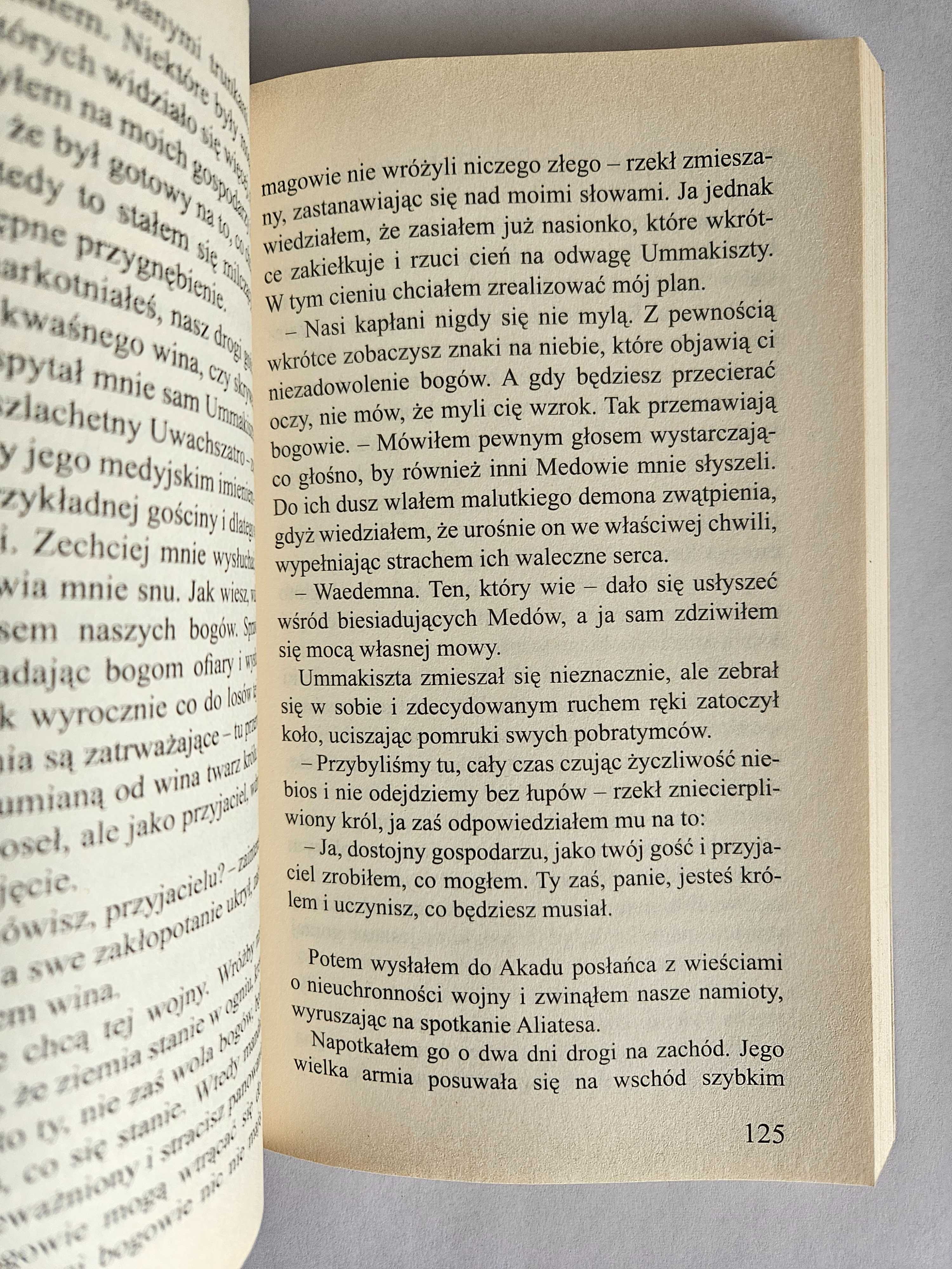 BOSKI PLAN Krzysztof Milczarek