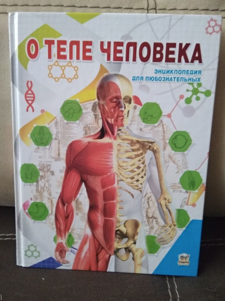 Книга "О теле человека"