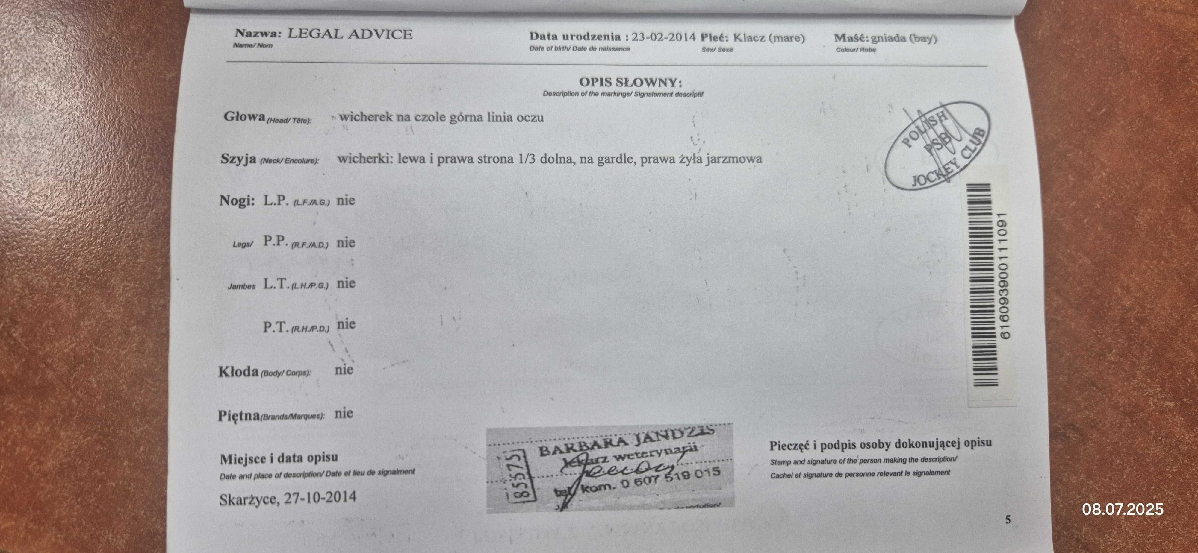 Sprzedam Klacze para matka i córka