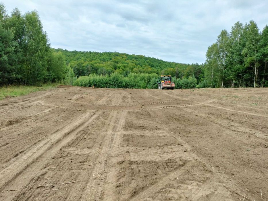 Mulczer leśny Oczyszczanie działek, wycinka samosiejek, karczowanie,