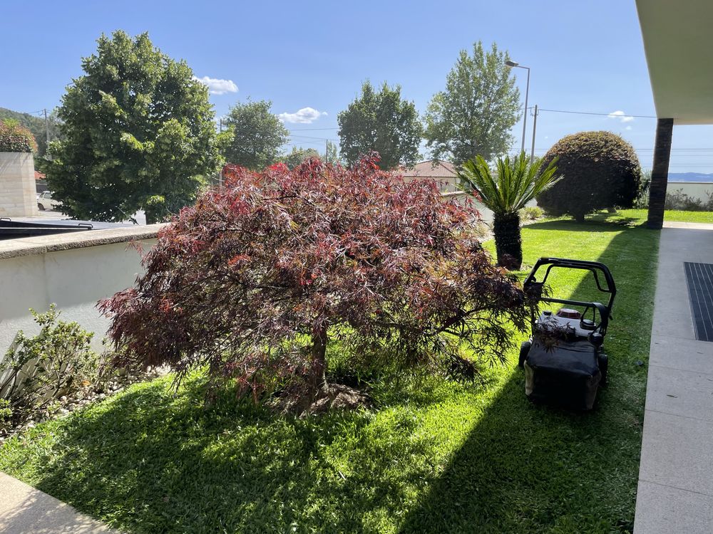 Serviços de jardinagem e limpeza de terrenos.