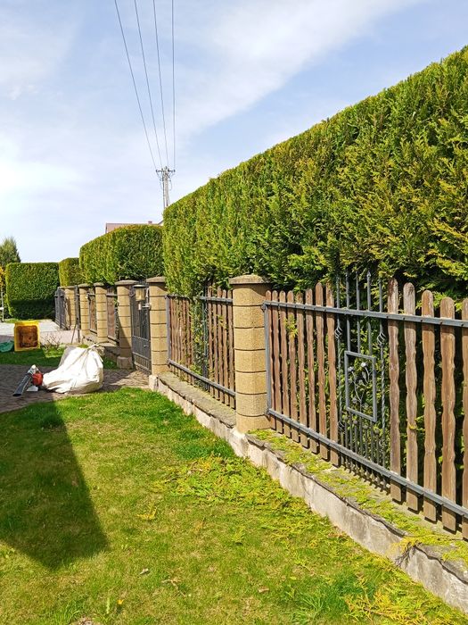 Wycinka drzew, formowanie krzewów i żywopłotów, koszenia