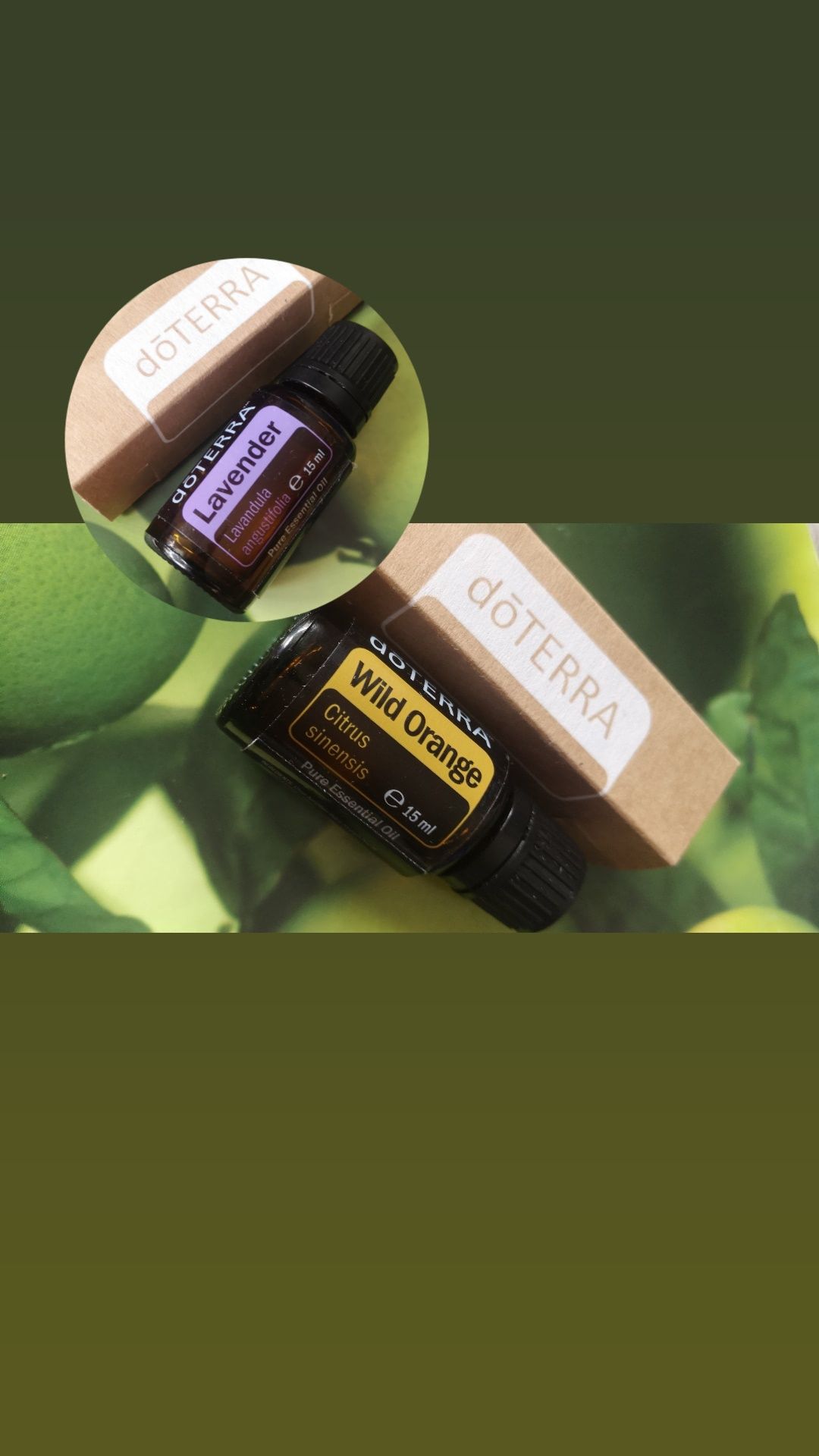 Doterra Lawenda i Wild Orange 15ml