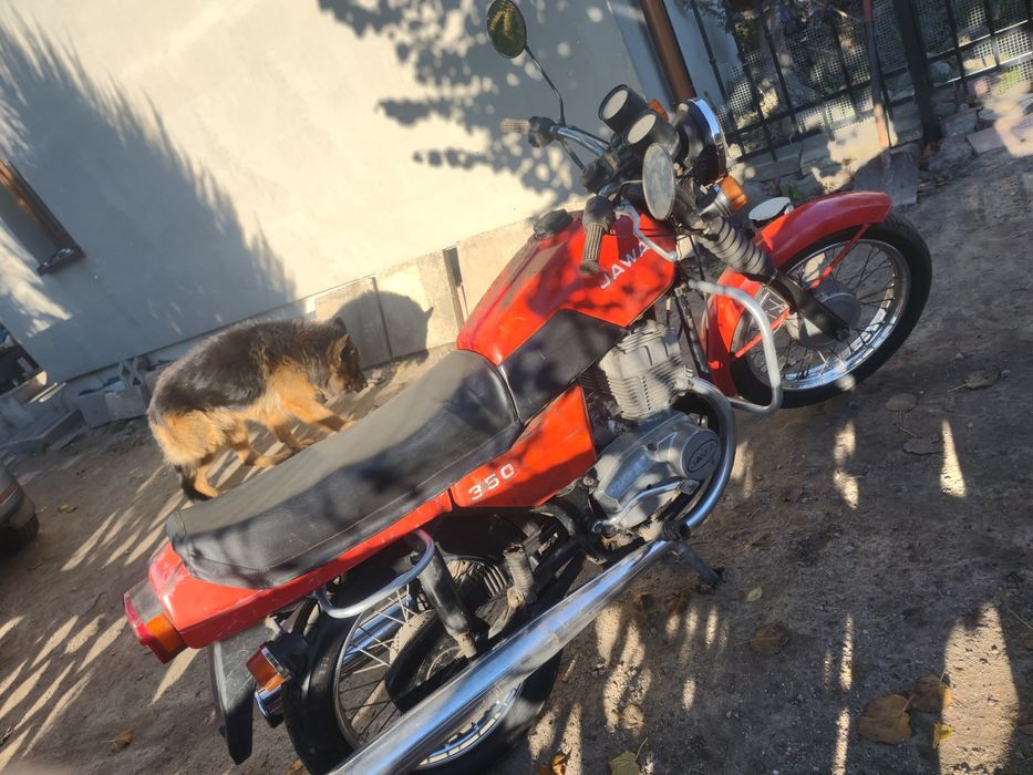 Jawa 350 TS model 638 jak Java delux 634 czy CZ 350 czerwona 632