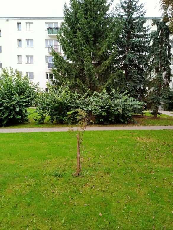 Jasna kawalerka Ochota Rakowiec