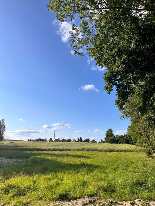 Działka budowlana - Pisarzowice (Lubań)