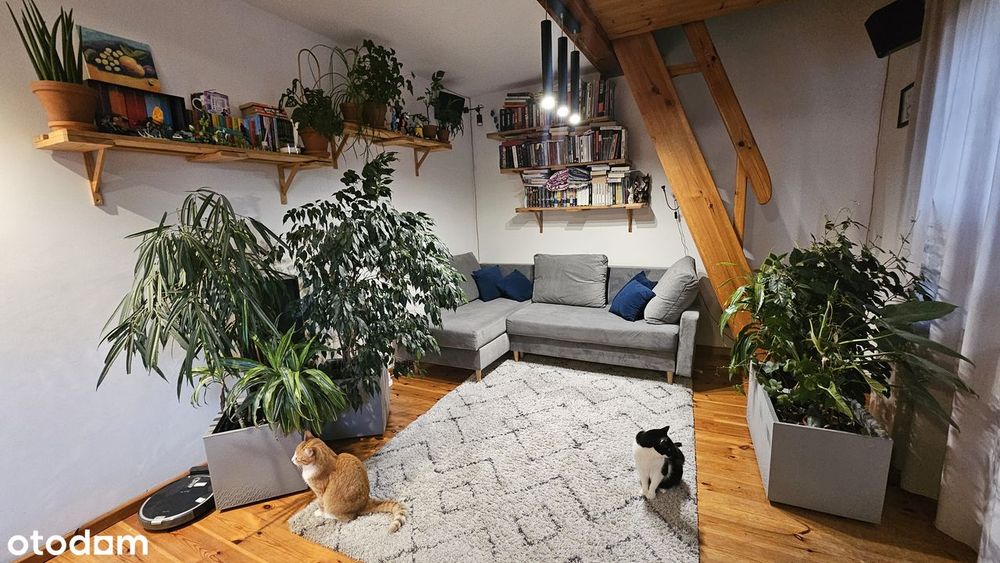 Przestronne 3‑pok. mieszkanie 46 m² z dodatkową antresolą (~8 m²)