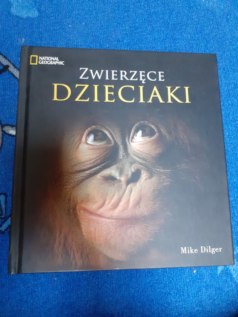 Zwierzęce dzieciaki