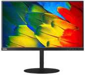 Monitor Lenovo 24" T24M-10 1920x1080p IPS Bezramkowy