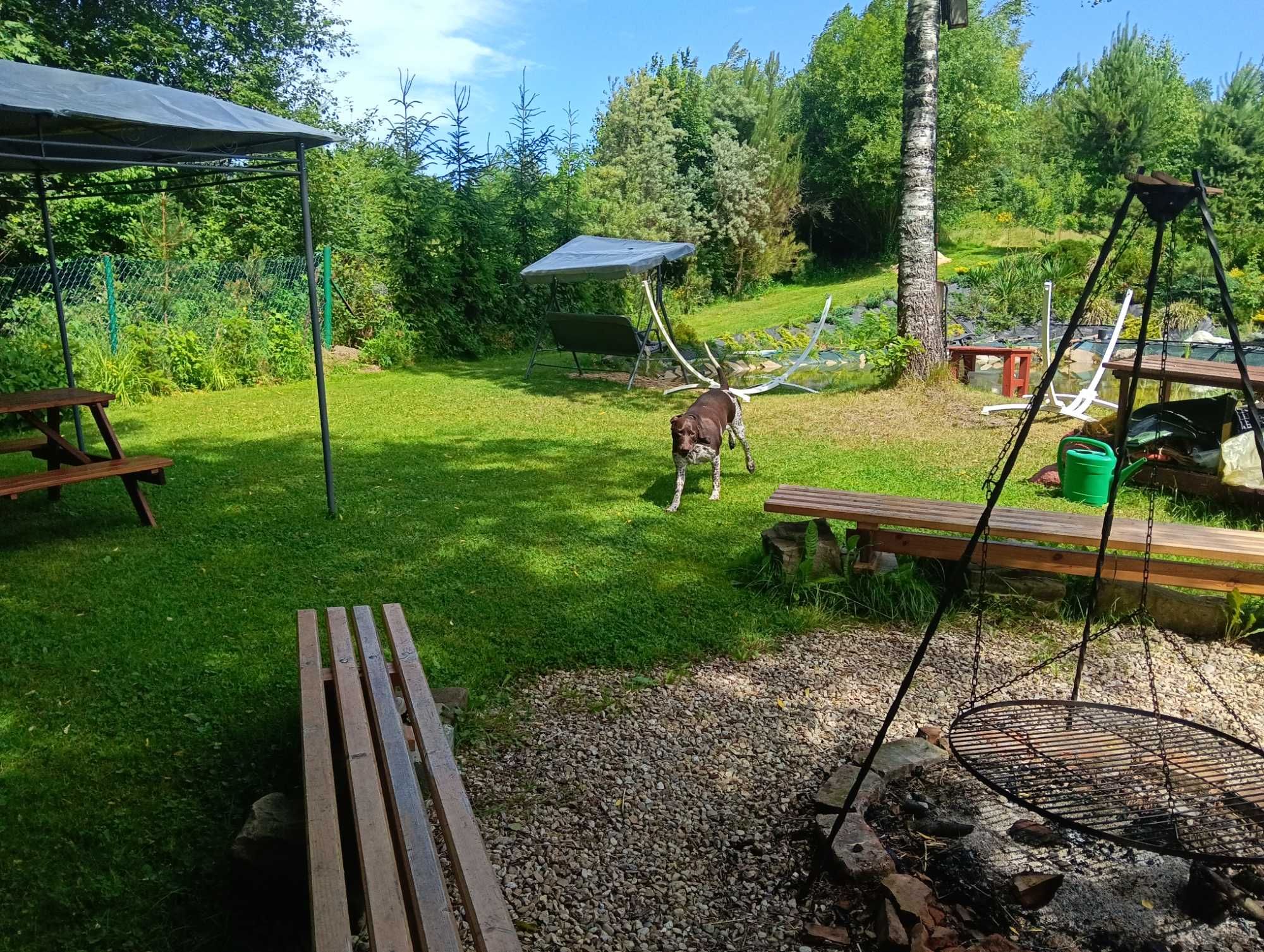Wynajmę apartament