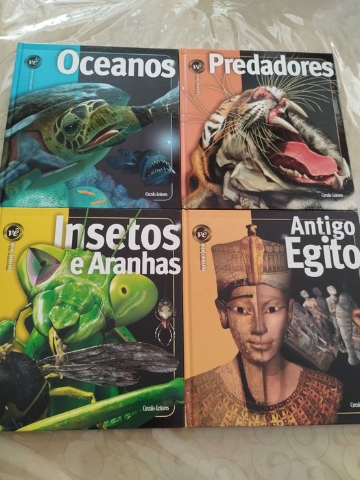 Coleção 10 Livros por Dentro Vê - Circulo dos Leitores