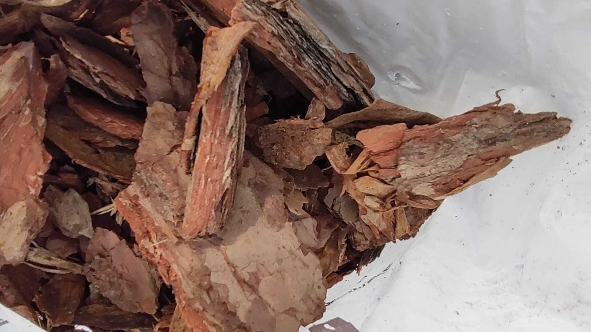 Kora sosnowa Ziemia do iglaków Ziemia Ogrodowa PRODUCENT NAJTANIEJ!