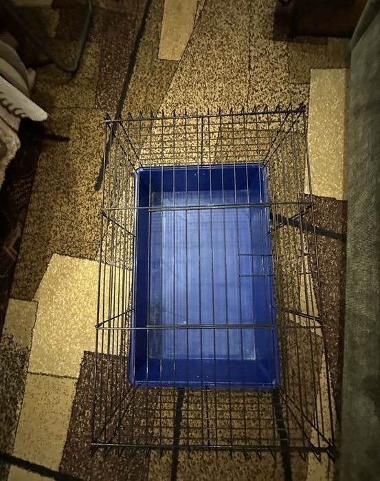 Клетка, клітка - для гризунів.