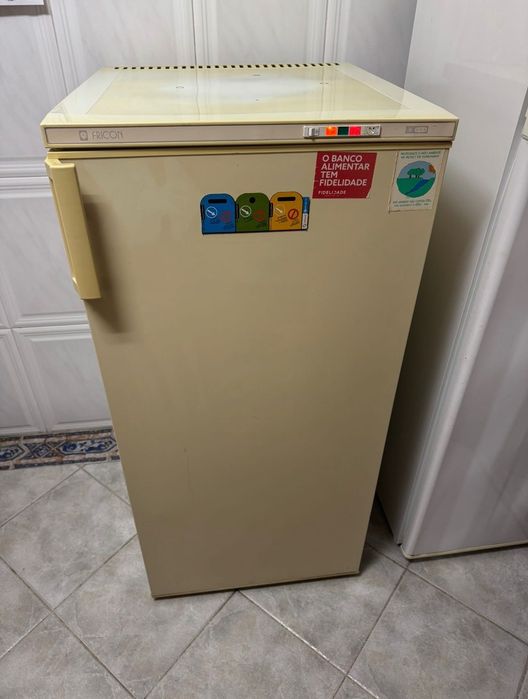 Arca frigorífica congeladora