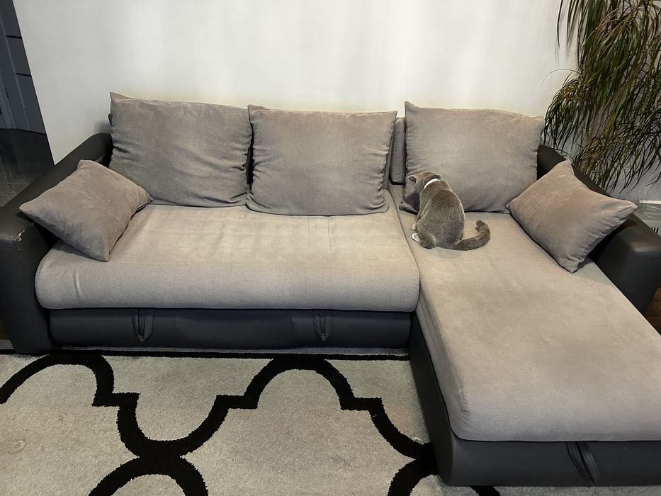 Rogówka- powieżchnia spania aż 160 cm