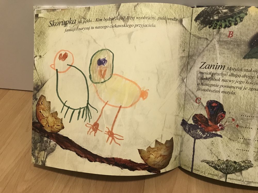 Książka Ciekawskie Jajo
