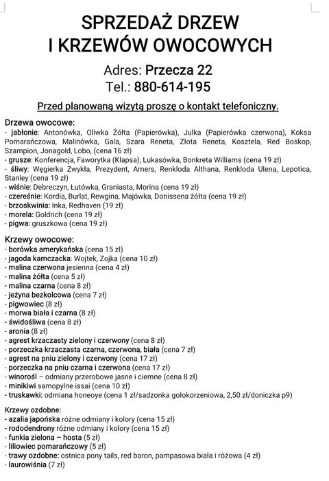 Drzewka owocowe,Wiśnie, jabłonie, Śliwy, grusza, Brzoskwinia, czereśni
