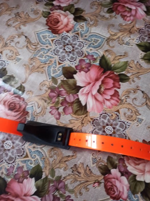 Продам джипіес трекер для собак