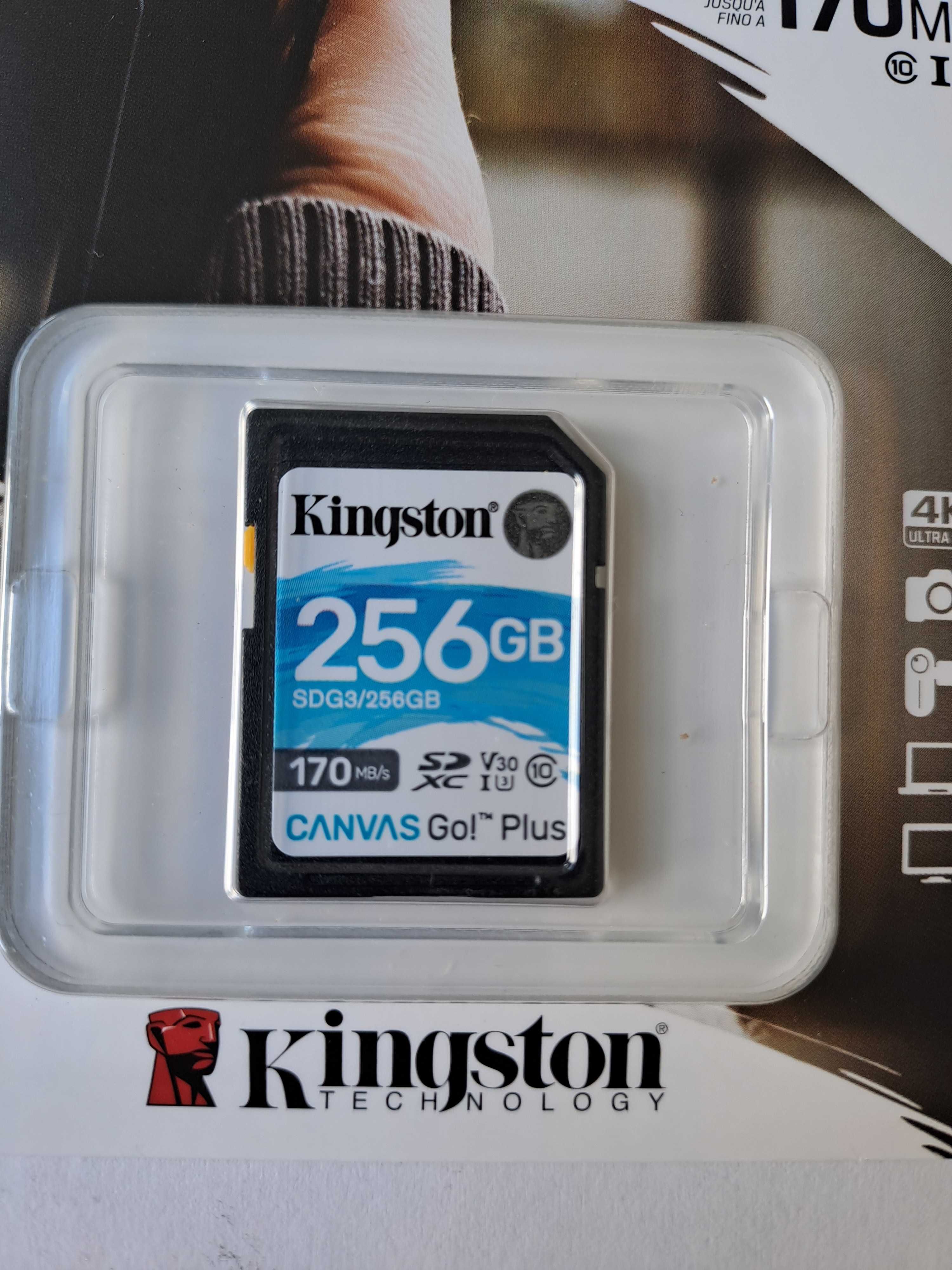 Karta pamięci KONGSTON Canvas Go! Plus 256 GB