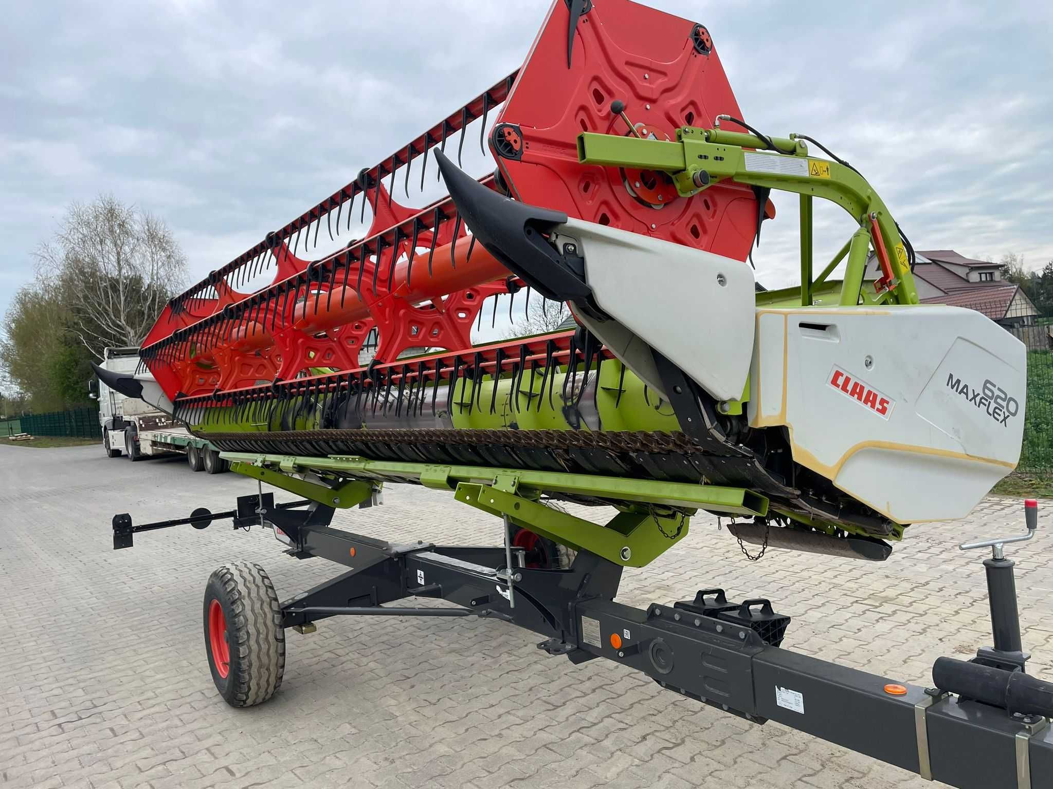 Heder Claas Maxflex 620 do zbioru roślin nisko rosnących