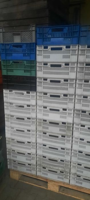 Sprzedam  skrzynki  plastikowe. do  owoców iwarzyw