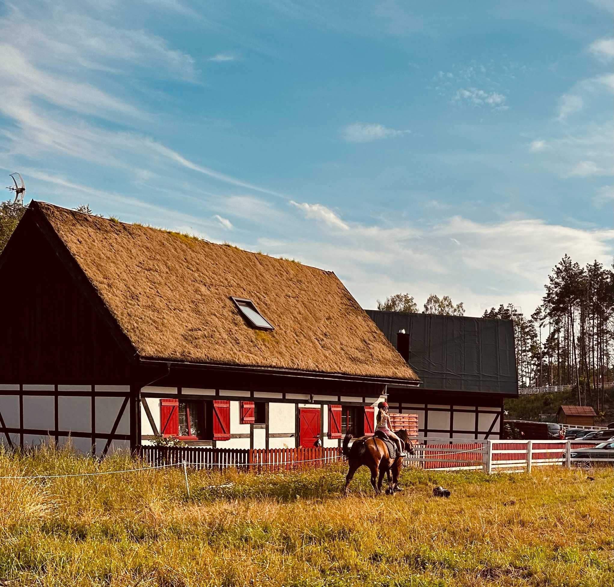 Twój Drugi Dom na Kaszubach - dom na 10 osób z widokiem na las